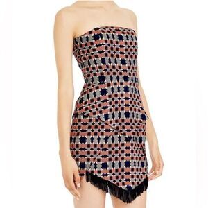 Sass and bide field of dreams mini fringe dress